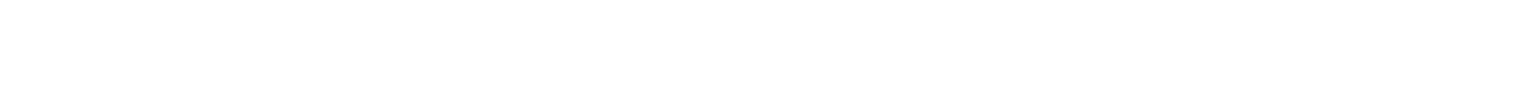 VVS Norge Partner. Logo.